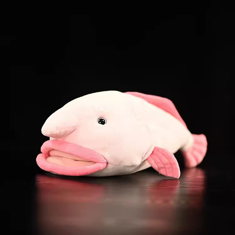Aquarium And Marine Museum - 시뮬레이션 동물 Blobfish 바다 바다 추악한