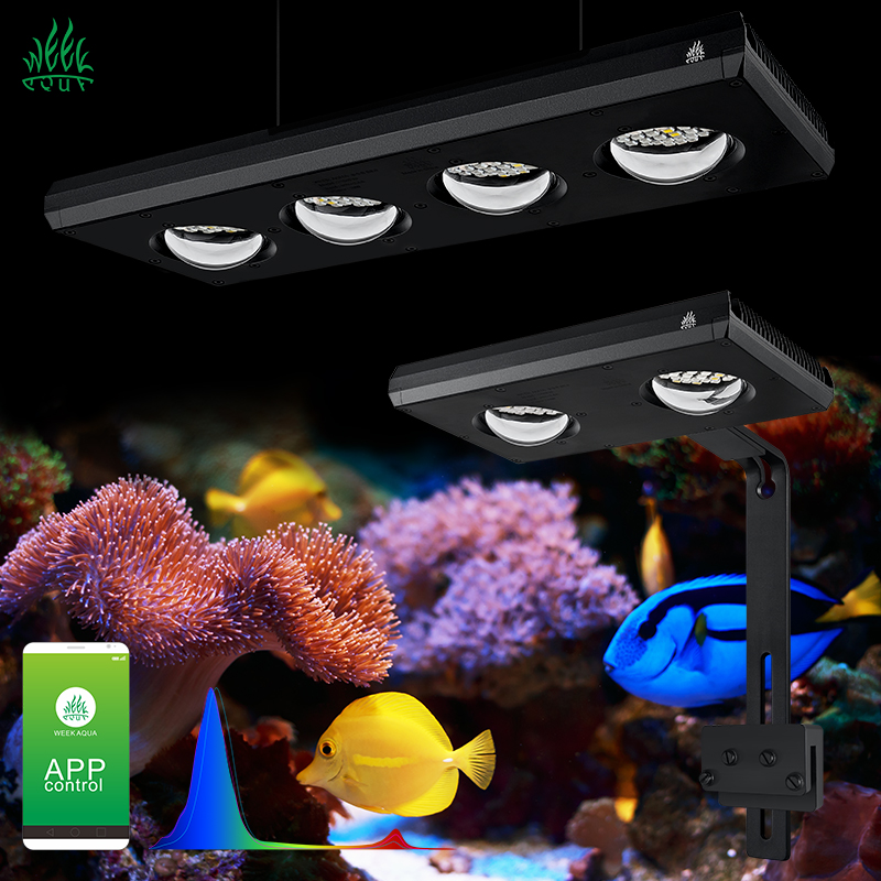 Aquarium Blue Marine Reef - ZXY 핫 세일 WEEKAQUA Z250 Z400sea