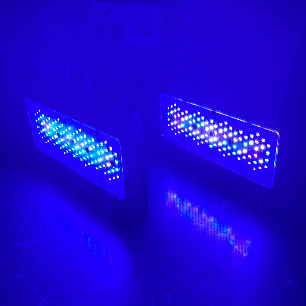 Aquarium Blue Marine Reef - 240W A8se II 맥스 블루 해양