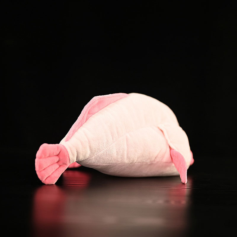 시뮬레이션 동물 Blobfish 바다 바다 추악한 핑크 - Aquarium And Marine Museum 리뷰 및 가격