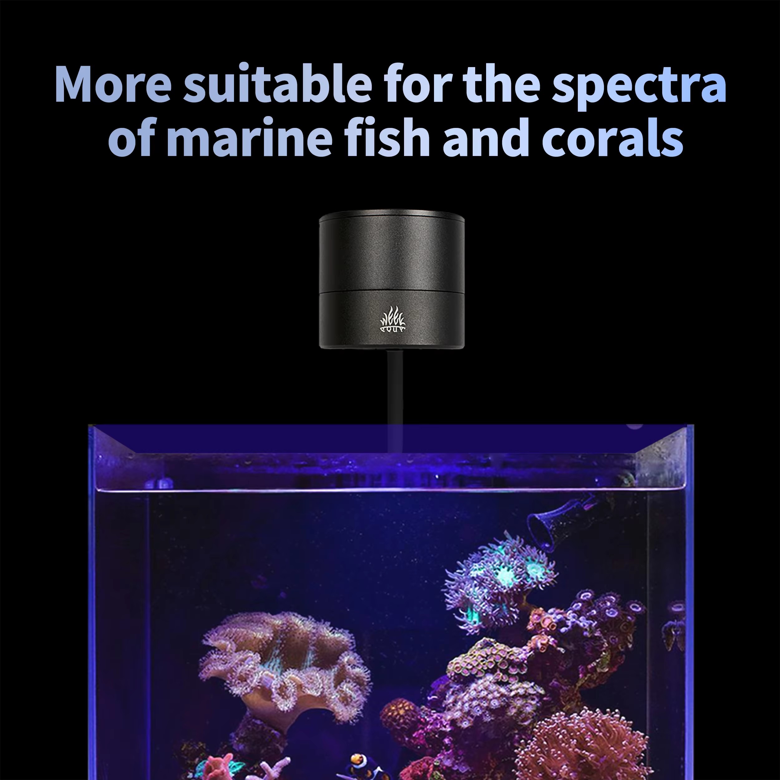 위크 아쿠아 수족관 조명 제조업체 블루 리프 라이트 L - Aquarium Blue Marine Reef 리뷰 및 가격