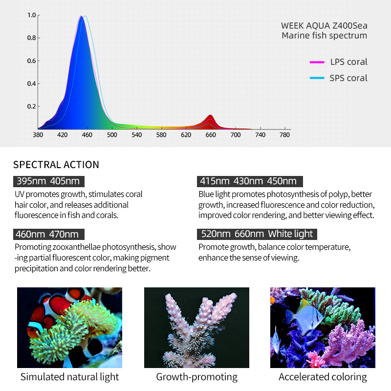 ZXY 핫 세일 WEEKAQUA Z250 Z400sea - Aquarium Blue Marine Reef 리뷰 및 가격