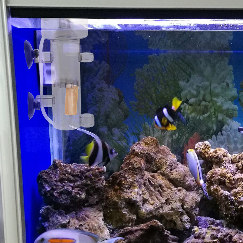 단백질 스키머 아크릴 수족관 분리기, 해수어항 해양 액 - Marine Aquarium & Regional Centre Photos 리뷰 및 가격