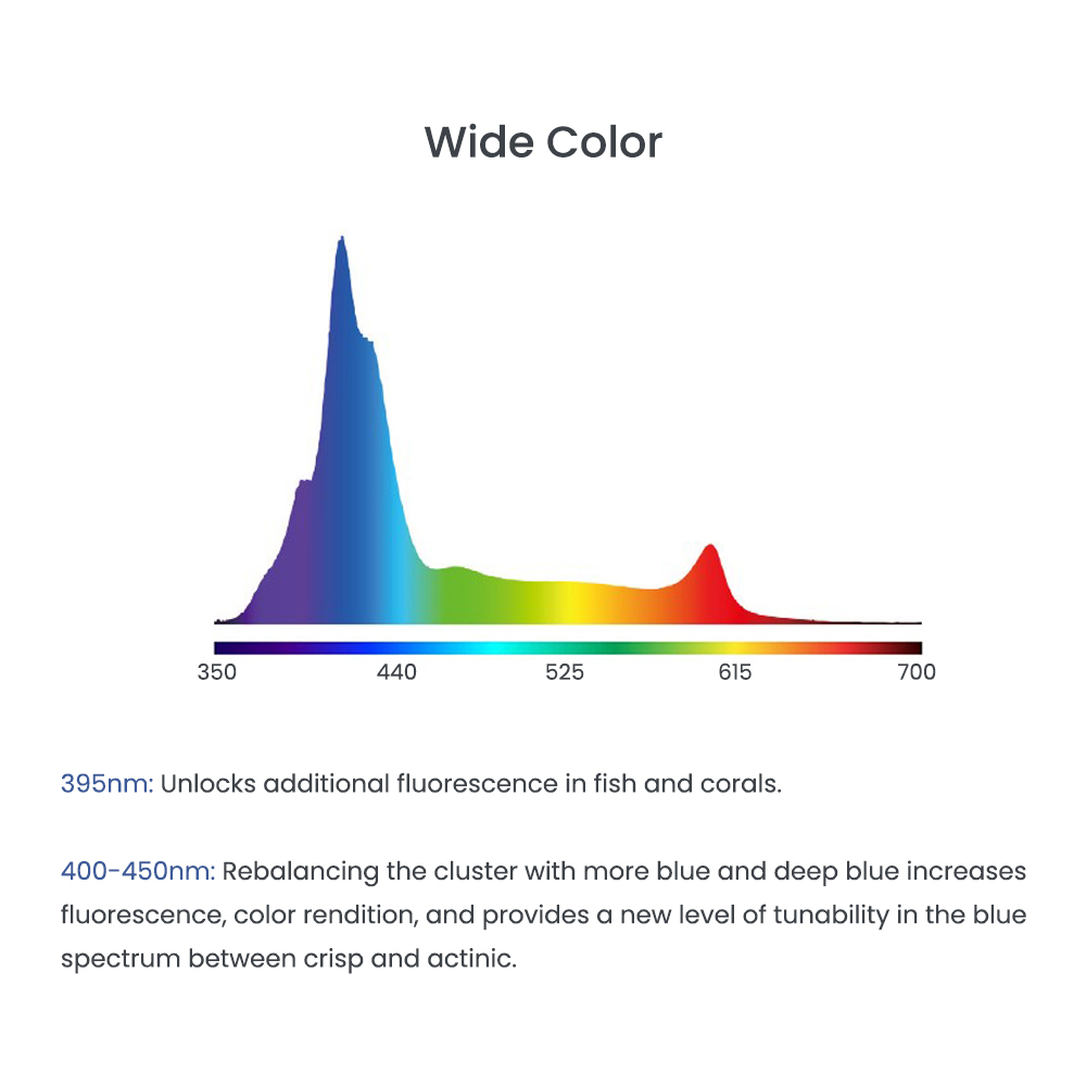 A8 Se II Max 및 블루 240W LED 풀 스 - Aquarium Blue Marine Reef 리뷰 및 가격