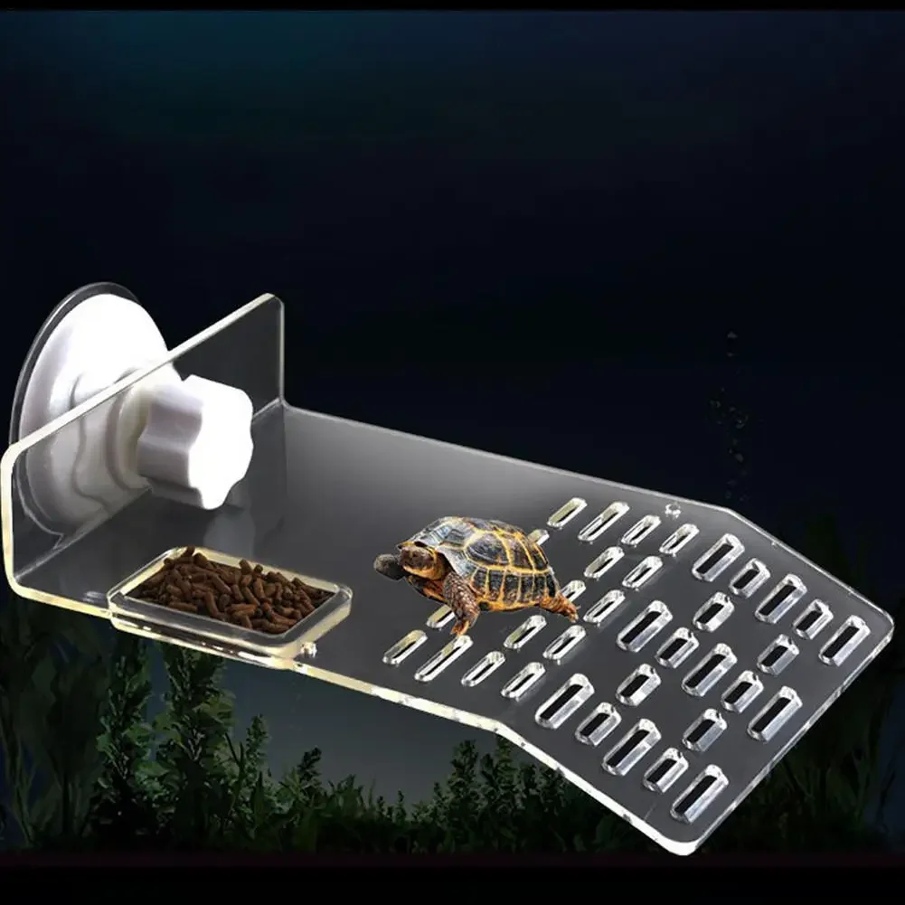 거북이 피어 도크 일광욕 플랫폼 선반 경사로 계단 랜딩 - Aquarium Marineland 리뷰 및 가격